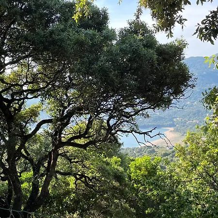 De Reve A Propriano Grand Avec Jardin Vue Sur Le Golfe Apartmán Viggianello