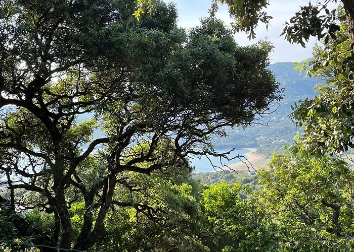 De Rêve à Propriano Grand Avec Jardin Vue Sur Le Golfe Appartement Viggianello